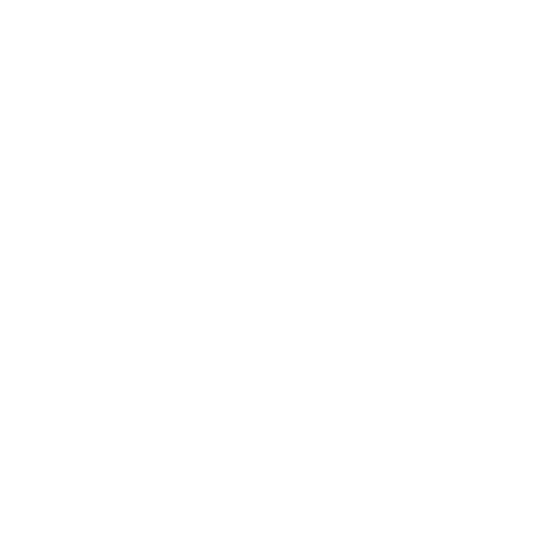Rima Cruises
